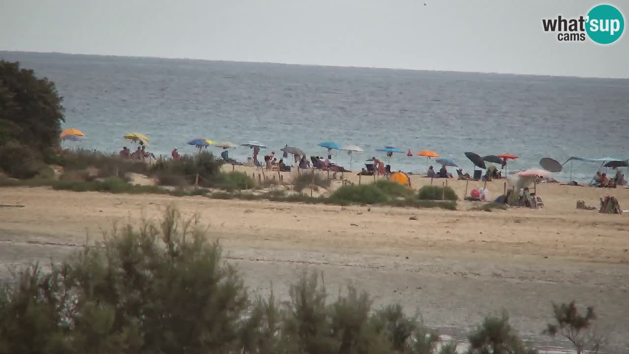 Webcam Chia – Live View of Su Giudeu Beach