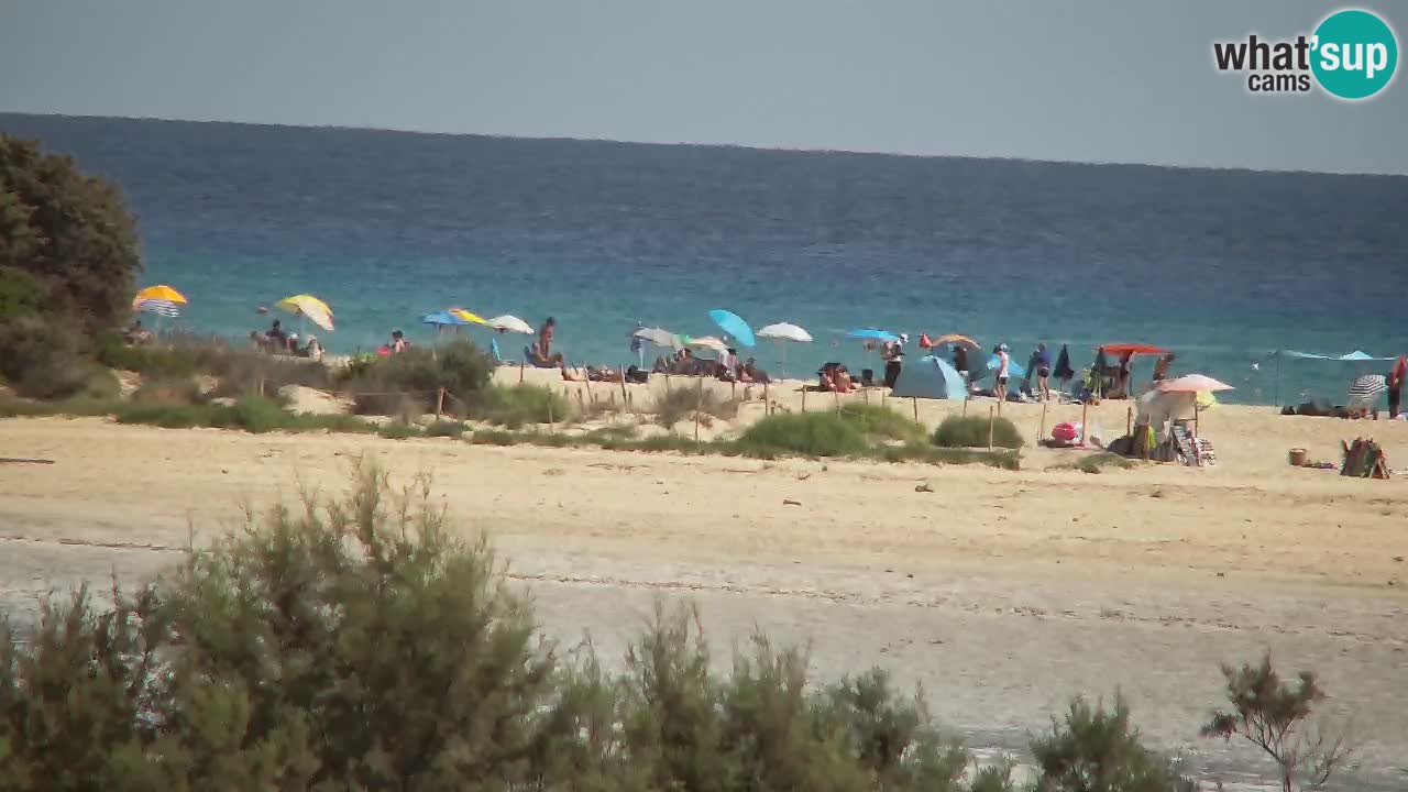 Webcam Chia – Vista en directo de la playa Su Giudeu