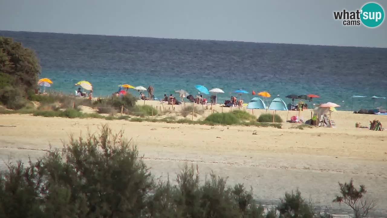 Webcam Chia – Live View of Su Giudeu Beach