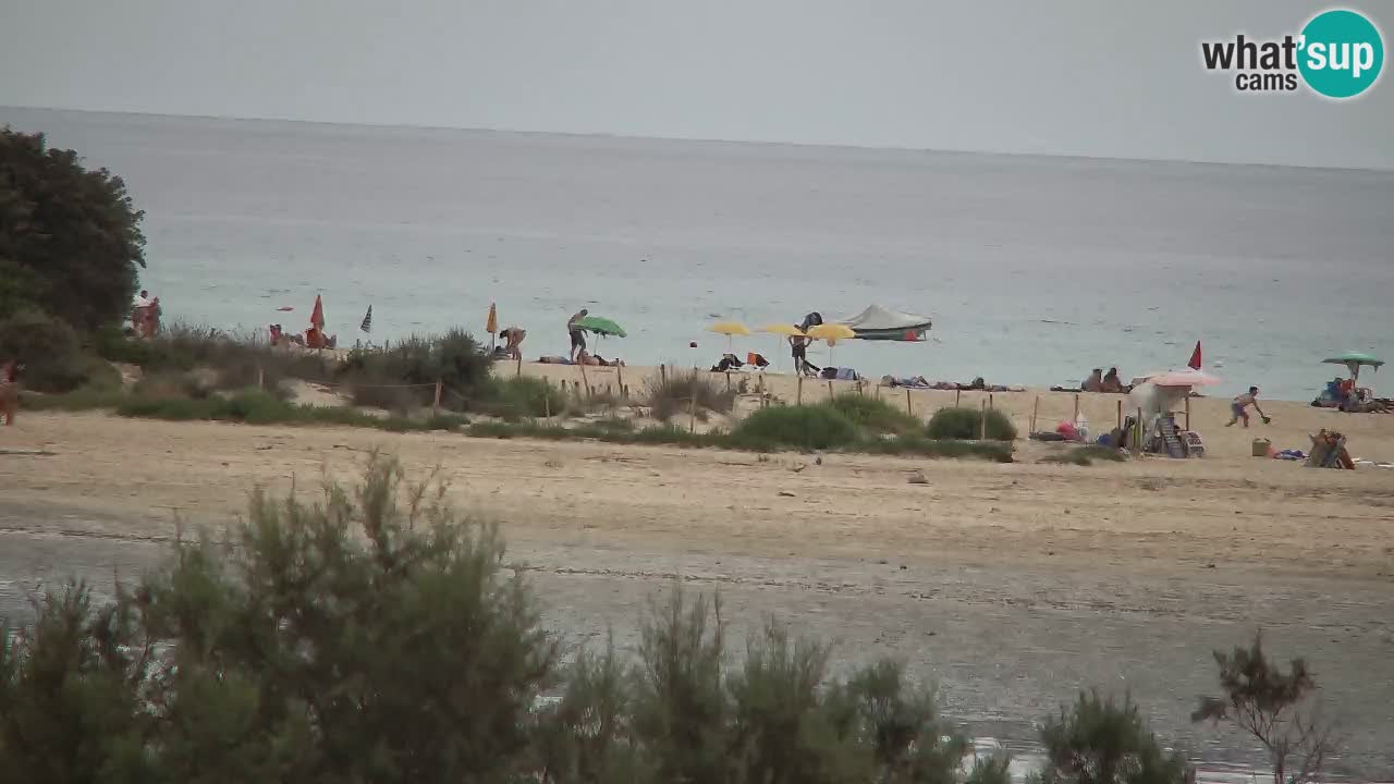 Webcam Chia – Liveblick auf den Strand Su Giudeu