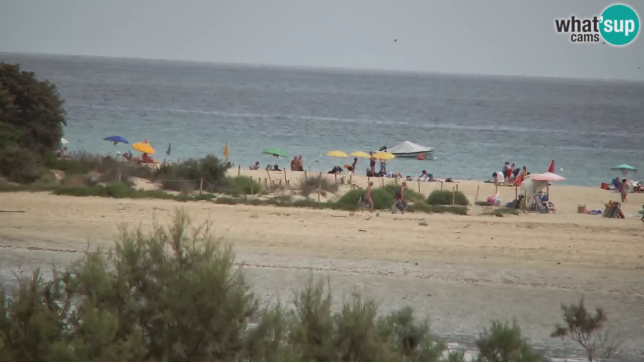 Webcam Chia – Vista en directo de la playa Su Giudeu