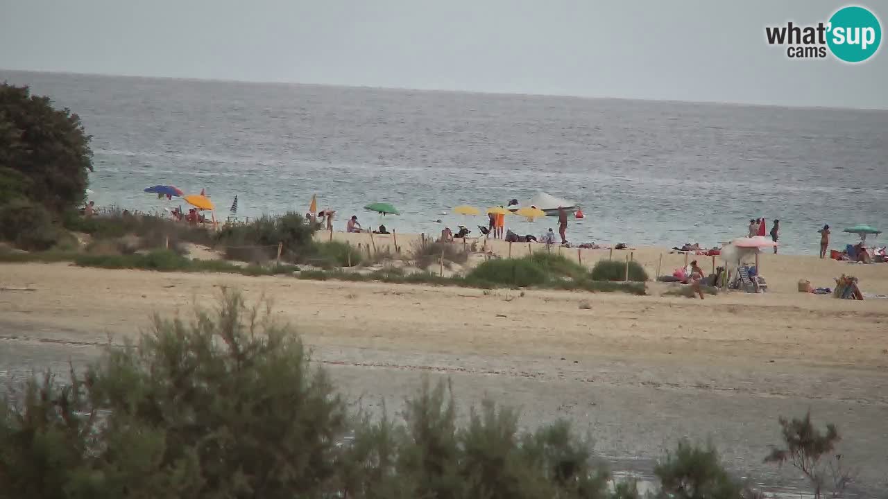 Webcam Chia – Liveblick auf den Strand Su Giudeu