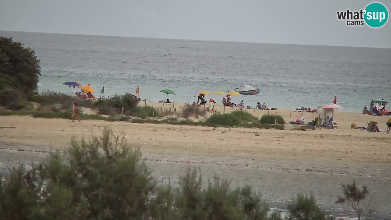 Webcam Chia – Vue en direct de la plage Su Giudeu