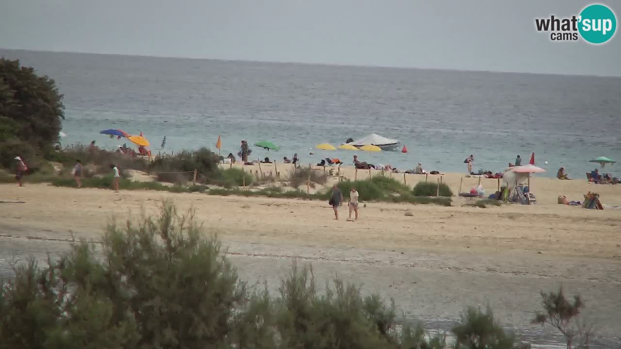 Webcam Chia – Live View of Su Giudeu Beach