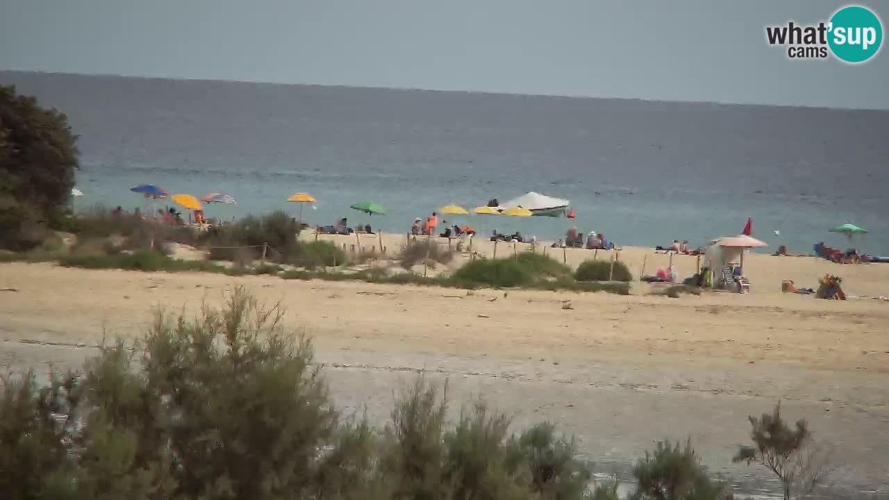 Webcam Chia – Live View of Su Giudeu Beach