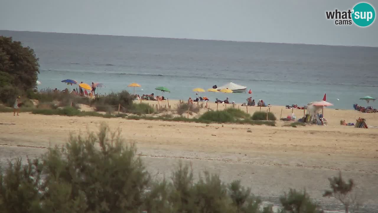 Webcam Chia – Vista en directo de la playa Su Giudeu