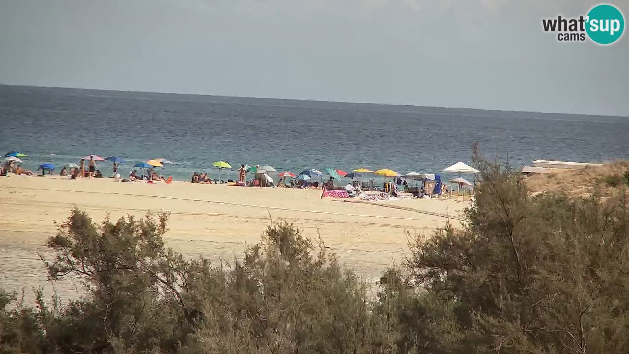 Webcam Chia – Live View of Su Giudeu Beach