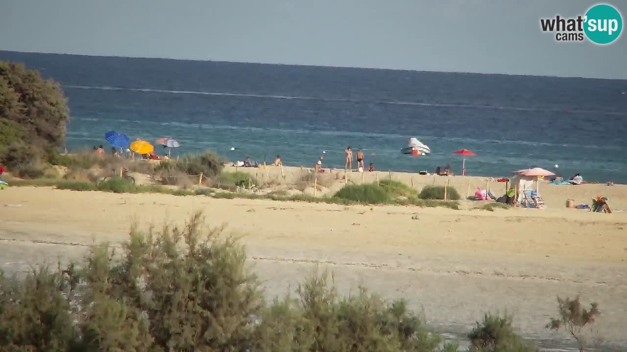 Webcam Chia – Live View of Su Giudeu Beach