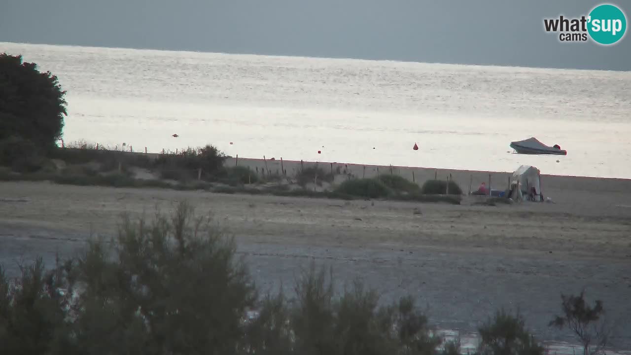 Webcam Chia – Live View of Su Giudeu Beach