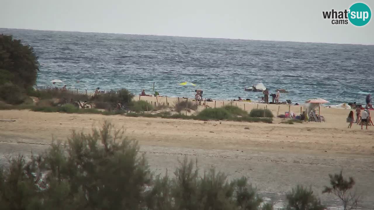 Webcam Chia – Vista en directo de la playa Su Giudeu