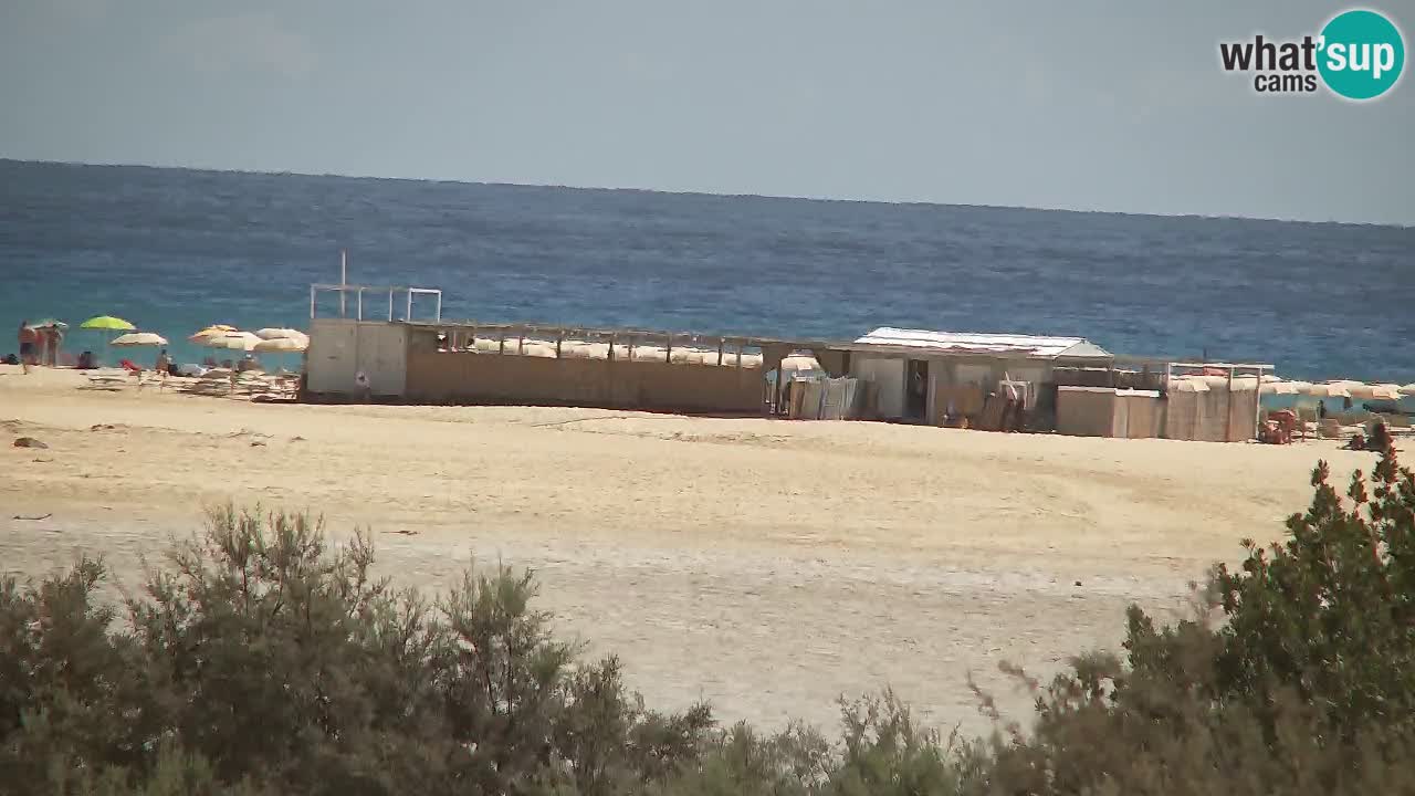 Webcam Chia – Live View of Su Giudeu Beach