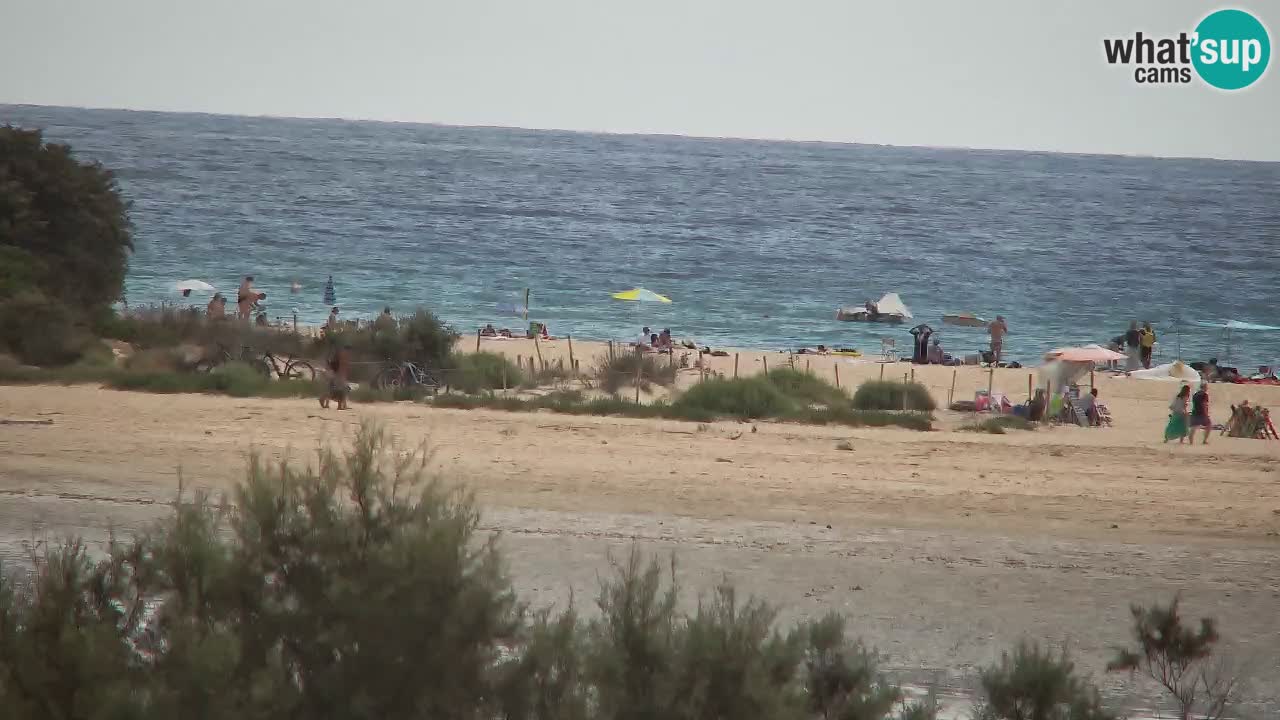 Webcam Chia – Live View of Su Giudeu Beach