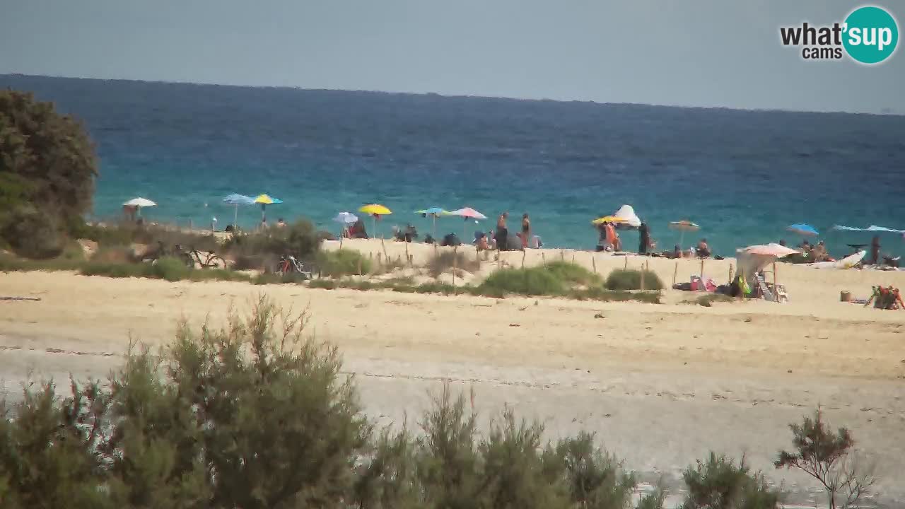 Webcam Chia – Live View of Su Giudeu Beach