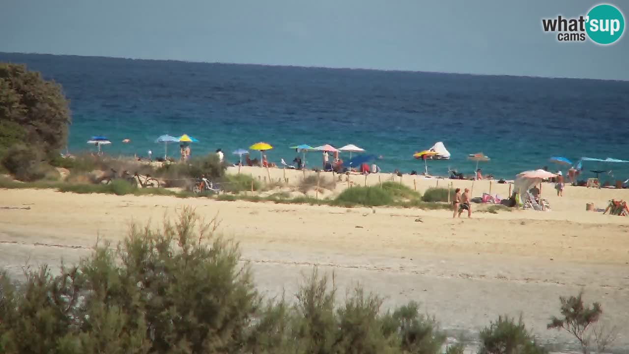 Webcam Chia – Live View of Su Giudeu Beach