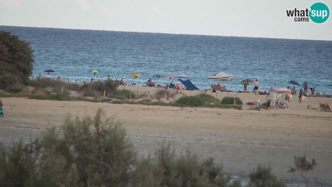 Webcam Chia – Vista en directo de la playa Su Giudeu