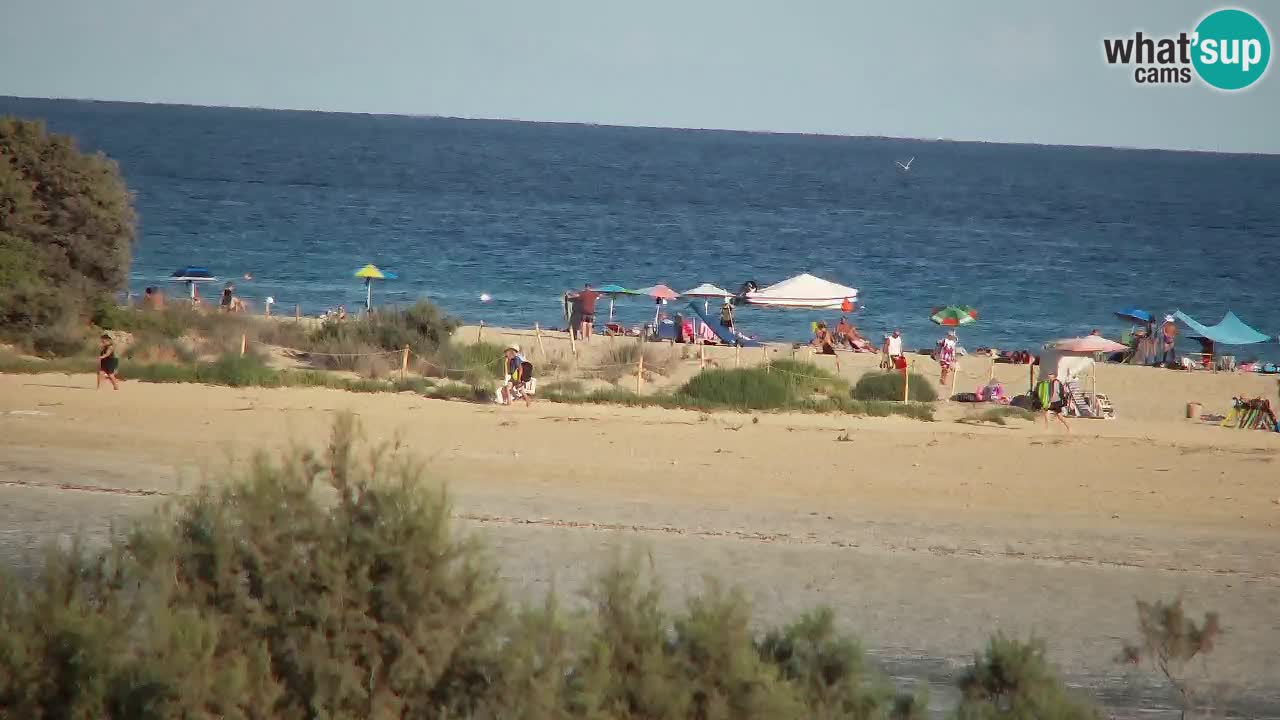 Webcam Chia – Live View of Su Giudeu Beach