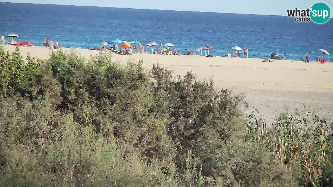 Webcam Chia – Live View of Su Giudeu Beach