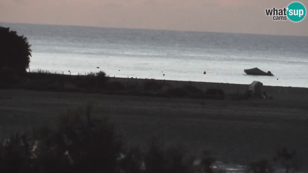Webcam Chia – Live View of Su Giudeu Beach