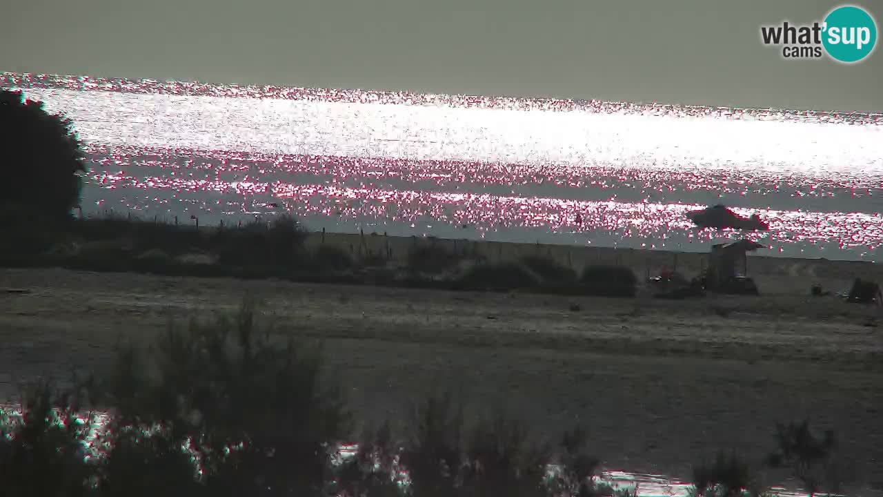 Webcam Chia – Vista en directo de la playa Su Giudeu