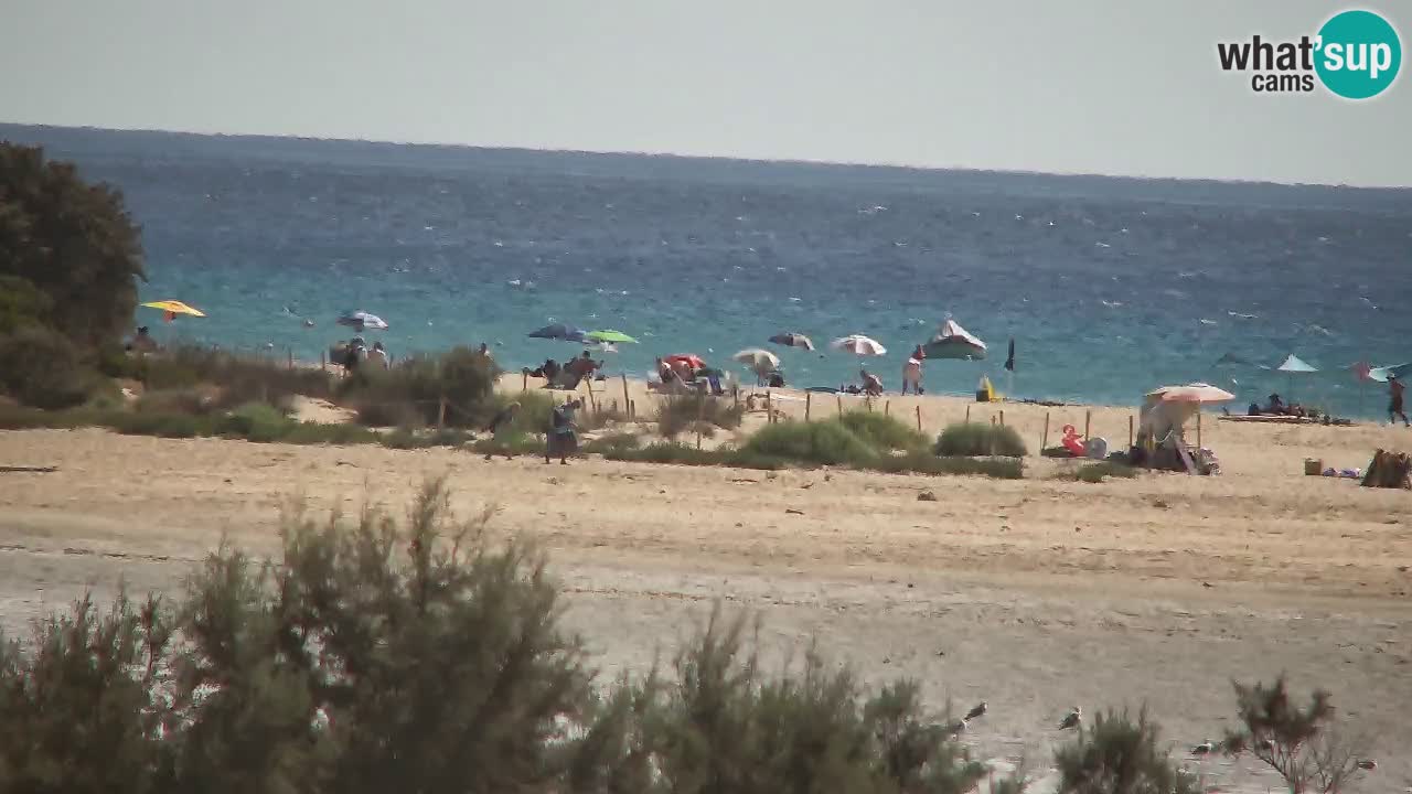 Webcam Chia – Live View of Su Giudeu Beach