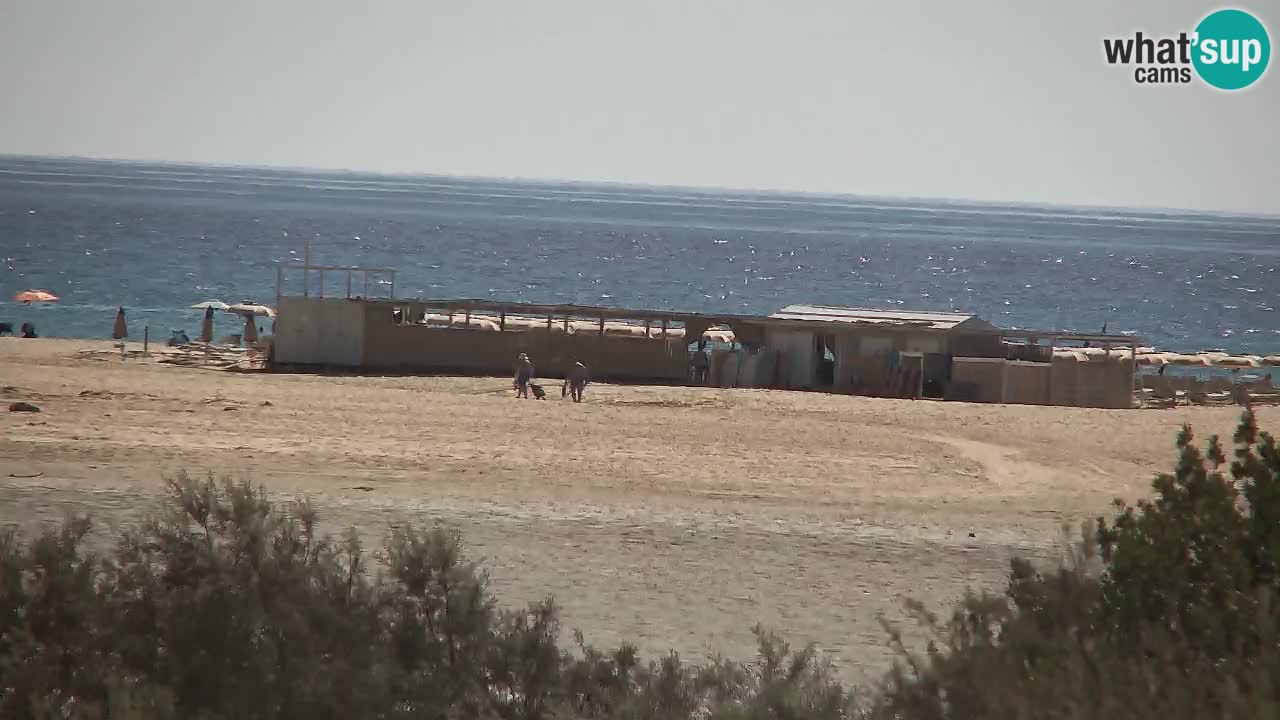 Webcam Chia – Live View of Su Giudeu Beach