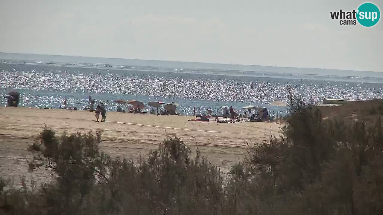 Webcam Chia – Vue en direct de la plage Su Giudeu