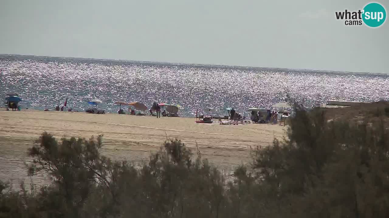 Webcam Chia – Live View of Su Giudeu Beach