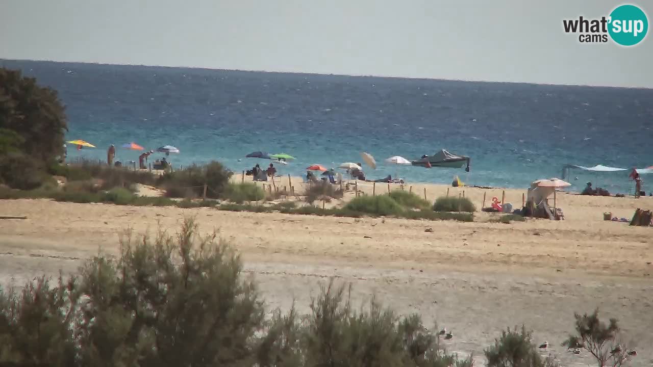 Web kamera Chia – Pogled uživo na plažu Su Giudeu