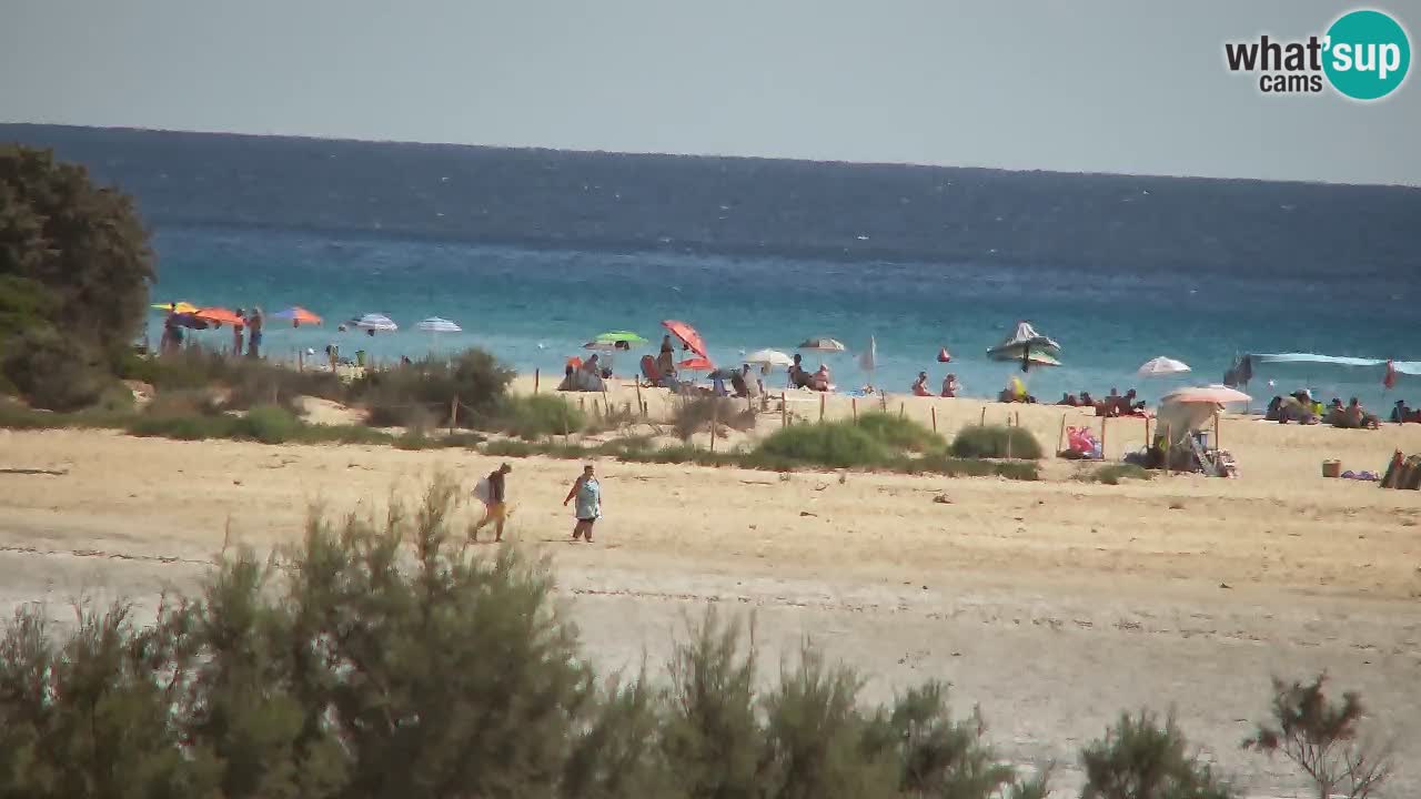 Webcam Chia – Liveblick auf den Strand Su Giudeu