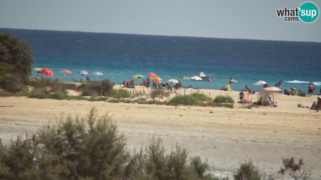 Webcam Chia – Liveblick auf den Strand Su Giudeu