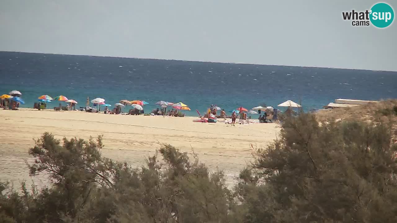 Webcam Chia – Live View of Su Giudeu Beach