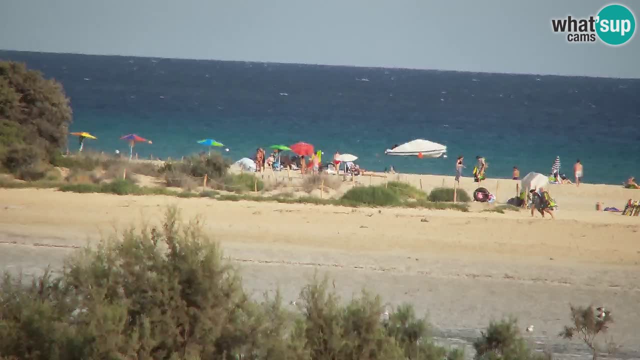 Webcam Chia – Live View of Su Giudeu Beach