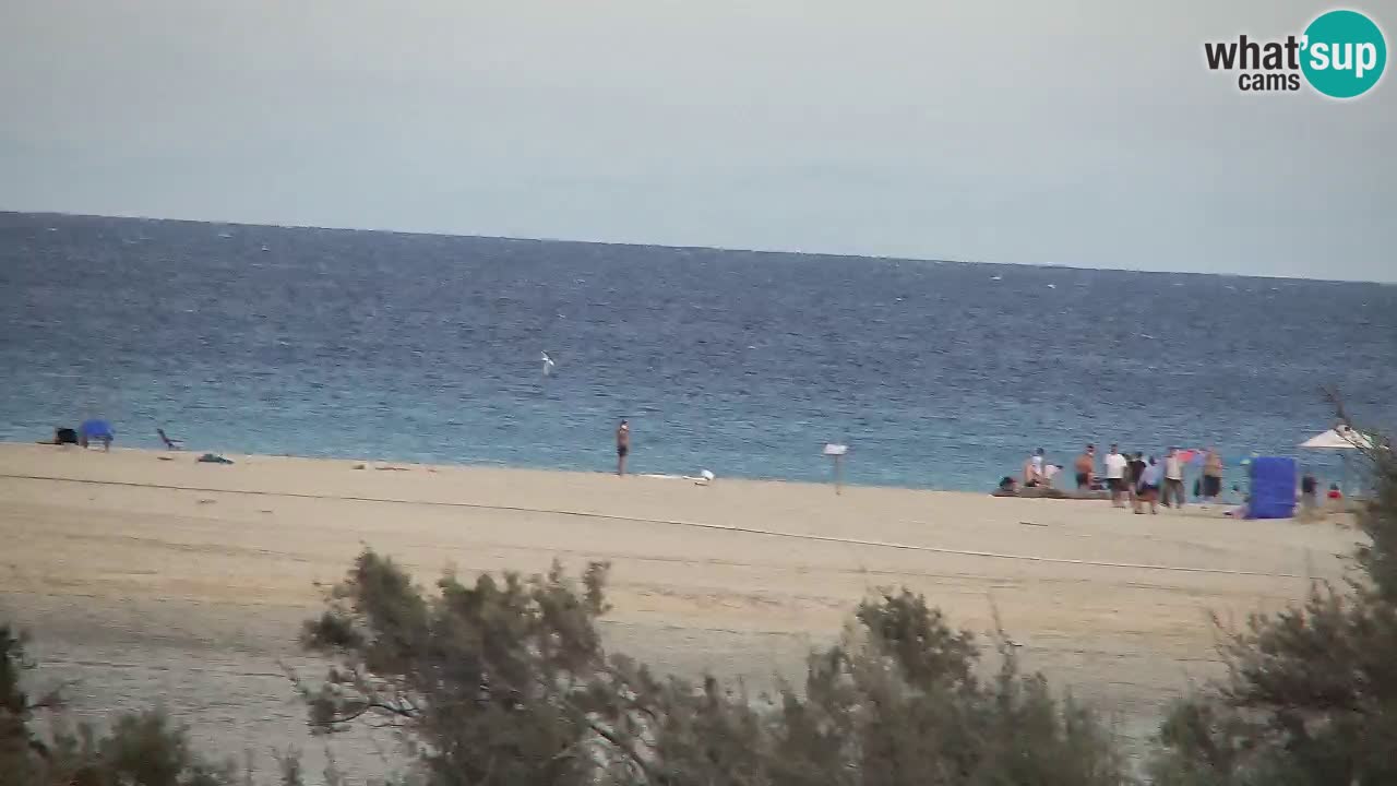 Webcam Chia – Vue en direct de la plage Su Giudeu