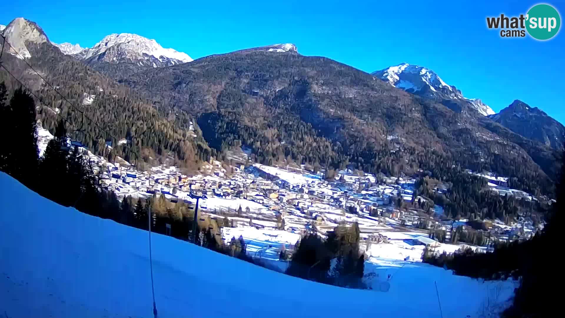 Livecam Forni di Sopra – Kolorman