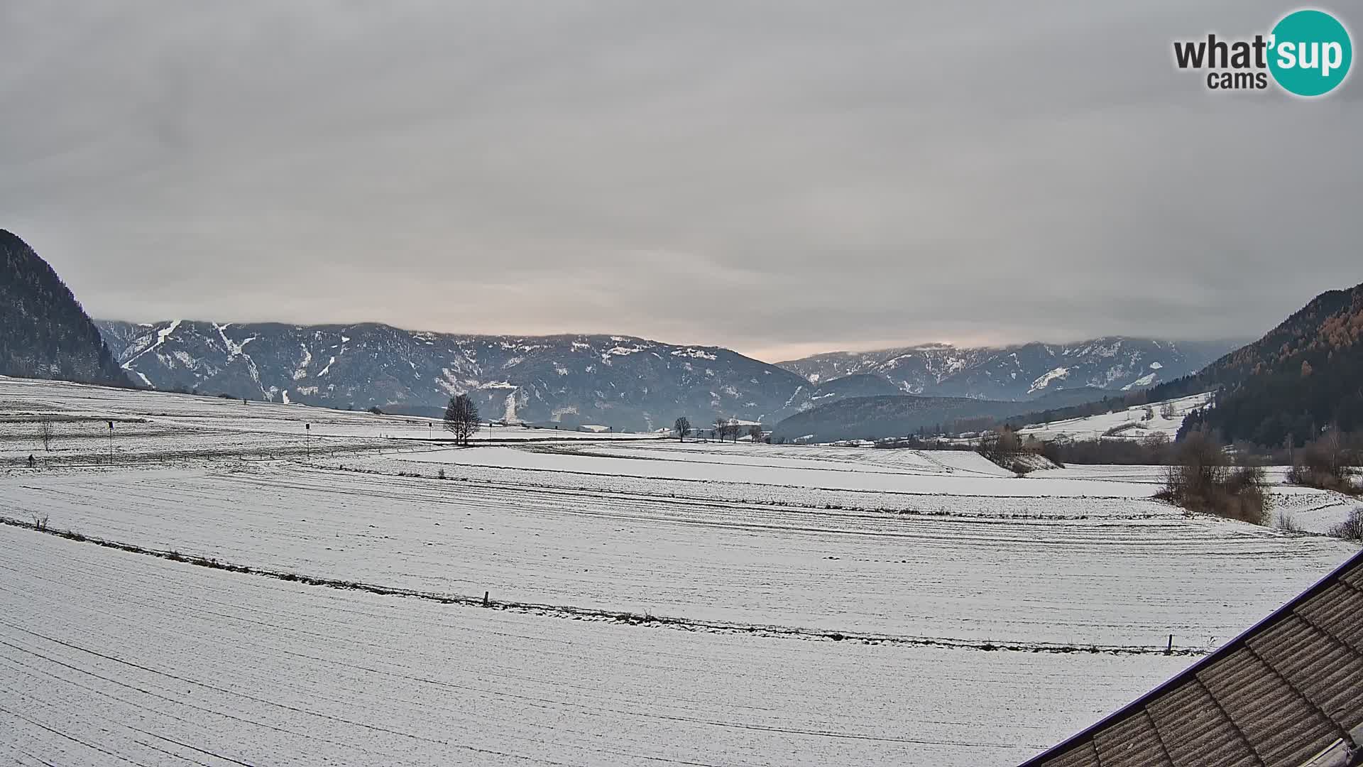 Gais | Blick vom Vintage Farm Winklerhof auf Kronplatz und Dolomiten