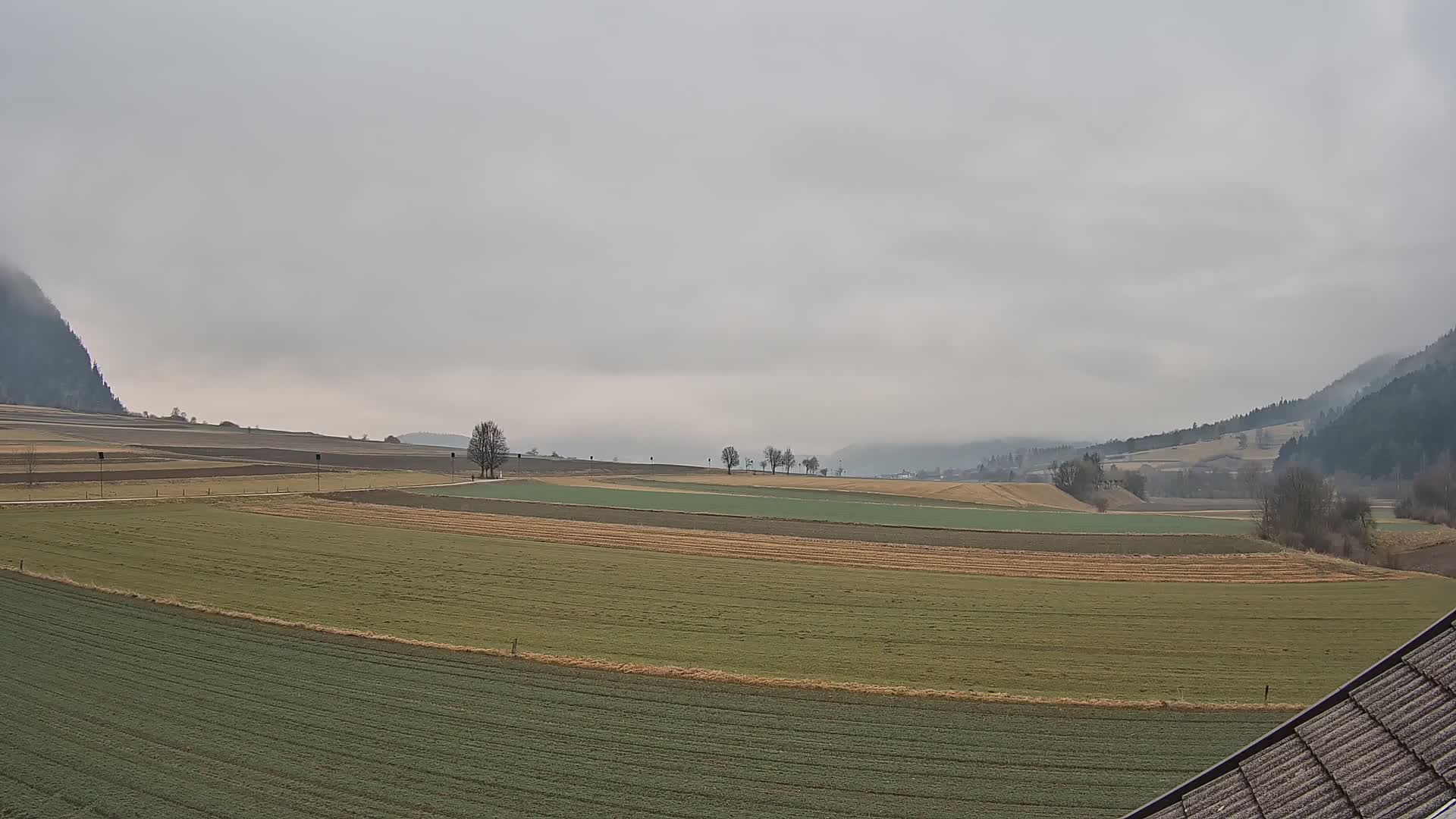 Gais | View from Vintage Farm Winklerhof to Kronplatz and Dolomites