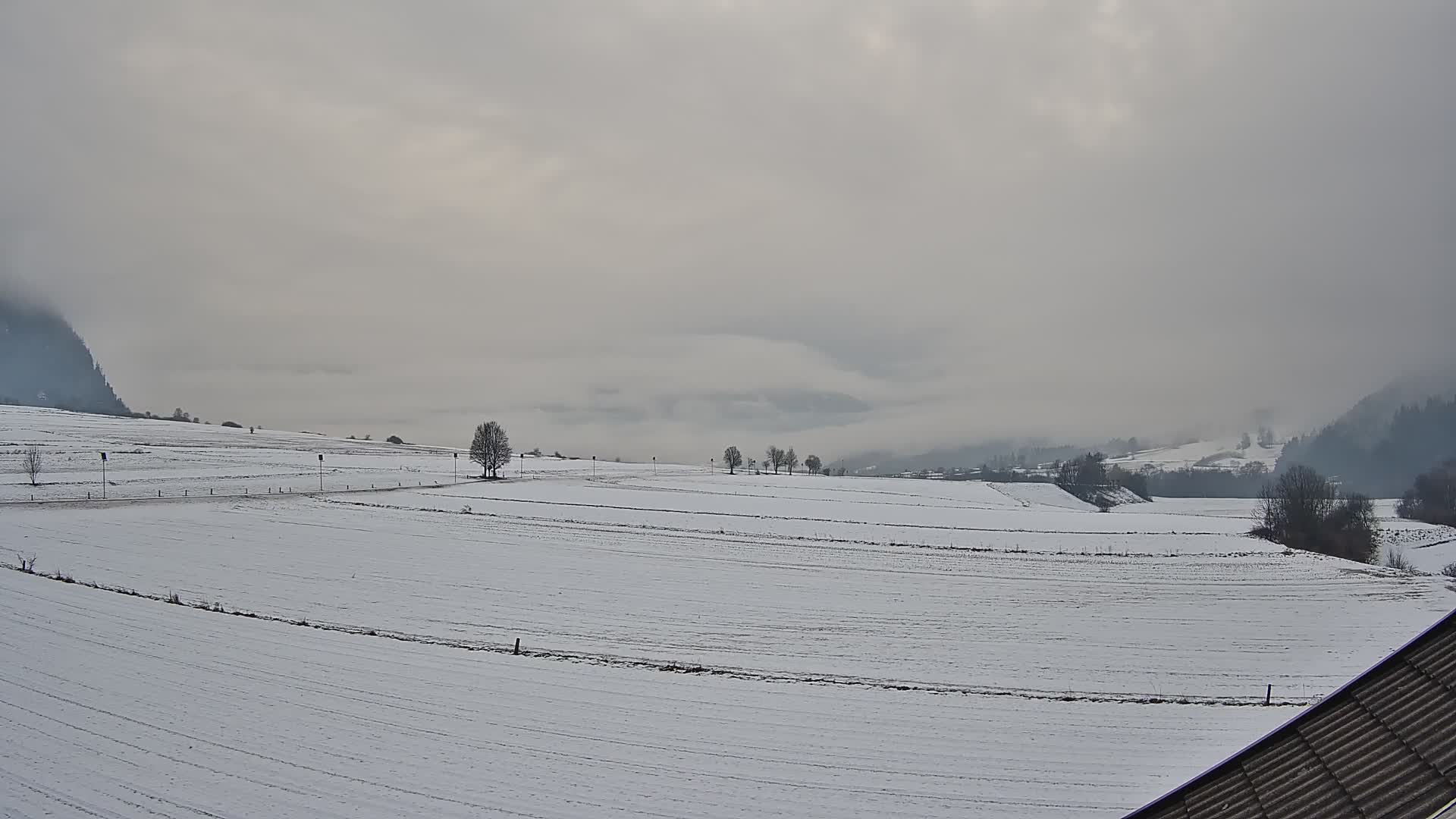 Gais | View from Vintage Farm Winklerhof to Kronplatz and Dolomites