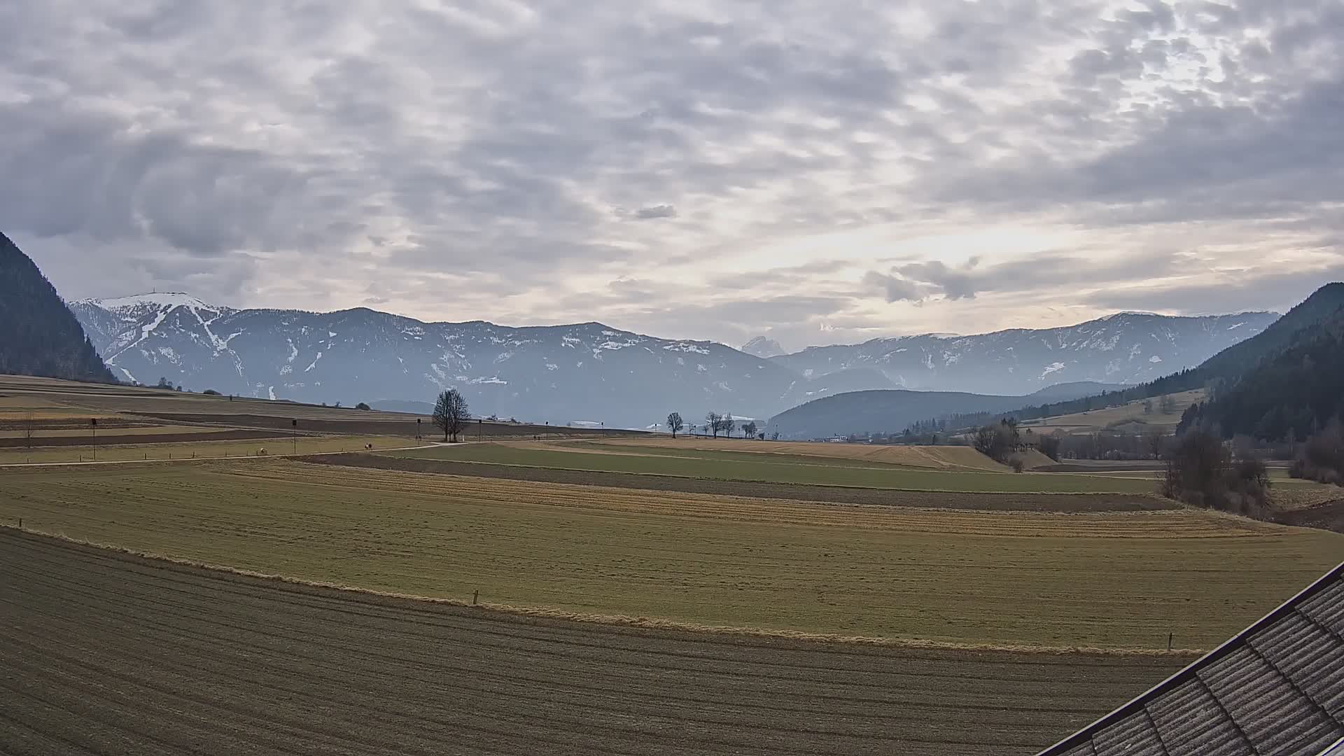 Gais | View from Vintage Farm Winklerhof to Kronplatz and Dolomites