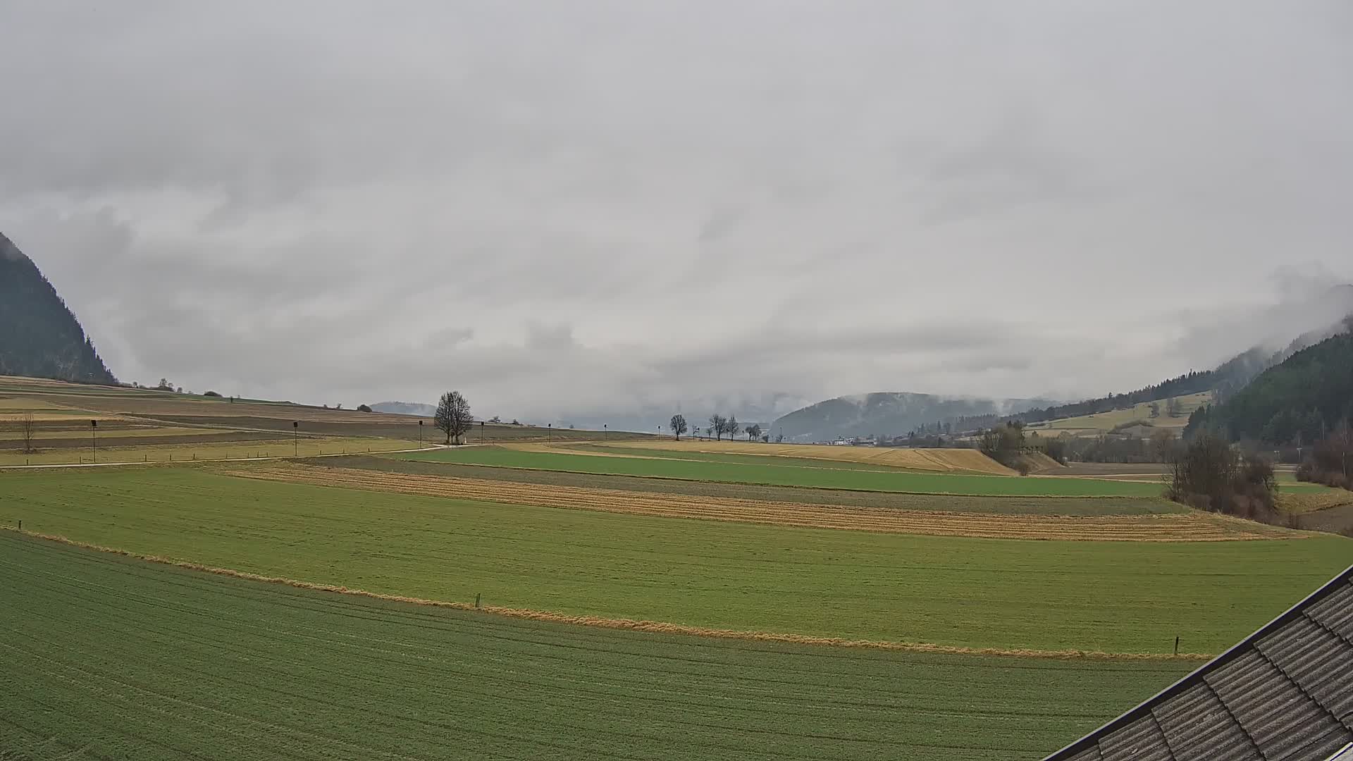 Gais | View from Vintage Farm Winklerhof to Kronplatz and Dolomites