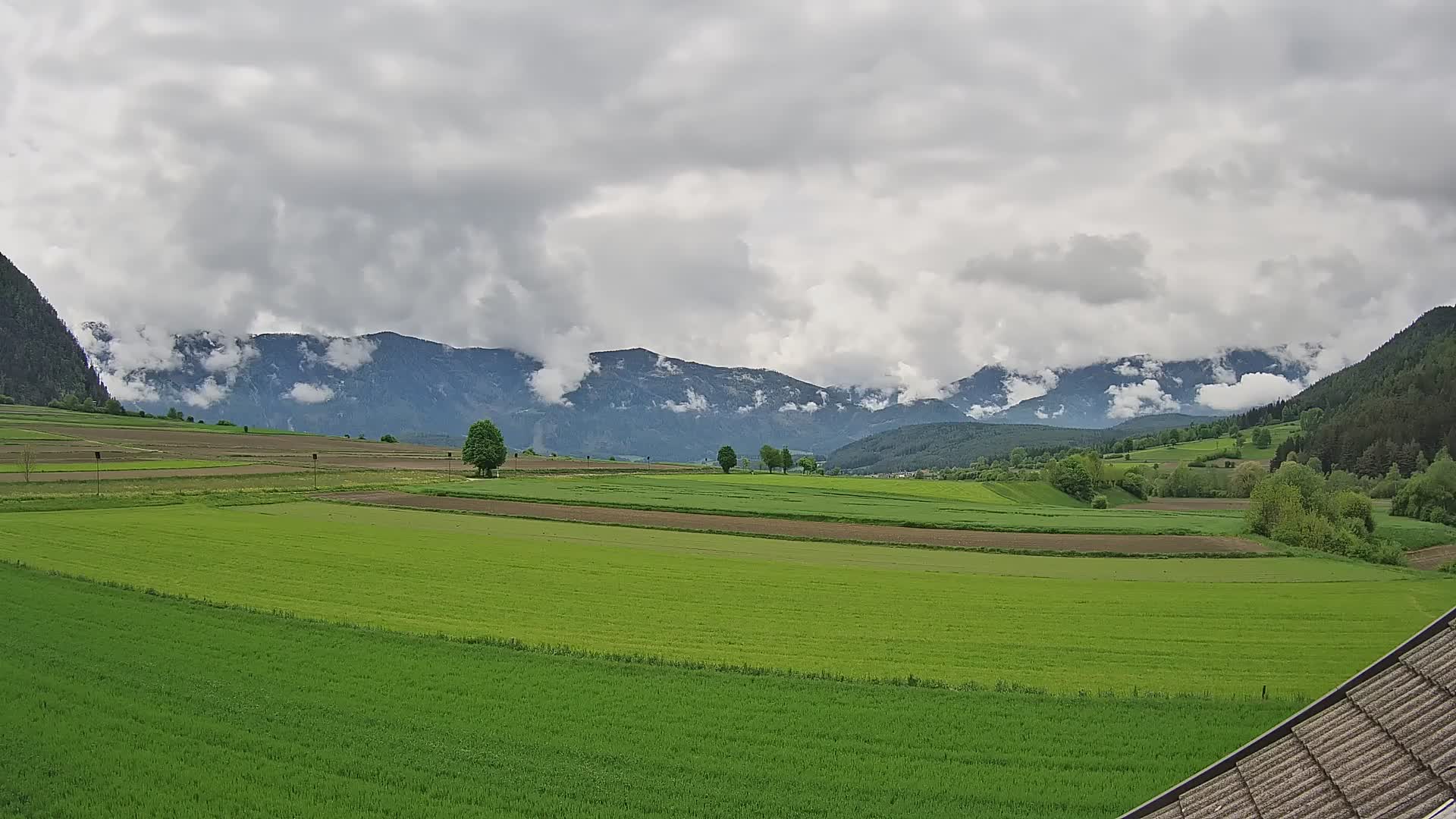 Gais | View from Vintage Farm Winklerhof to Kronplatz and Dolomites