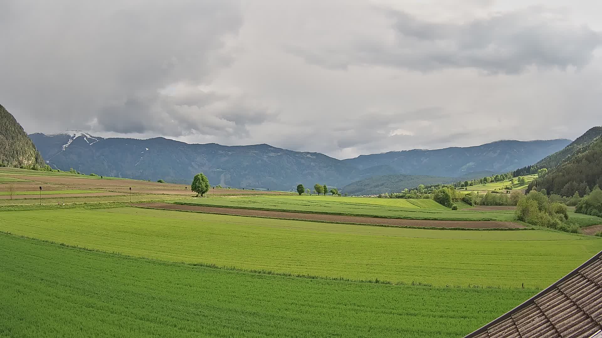 Gais | View from Vintage Farm Winklerhof to Kronplatz and Dolomites
