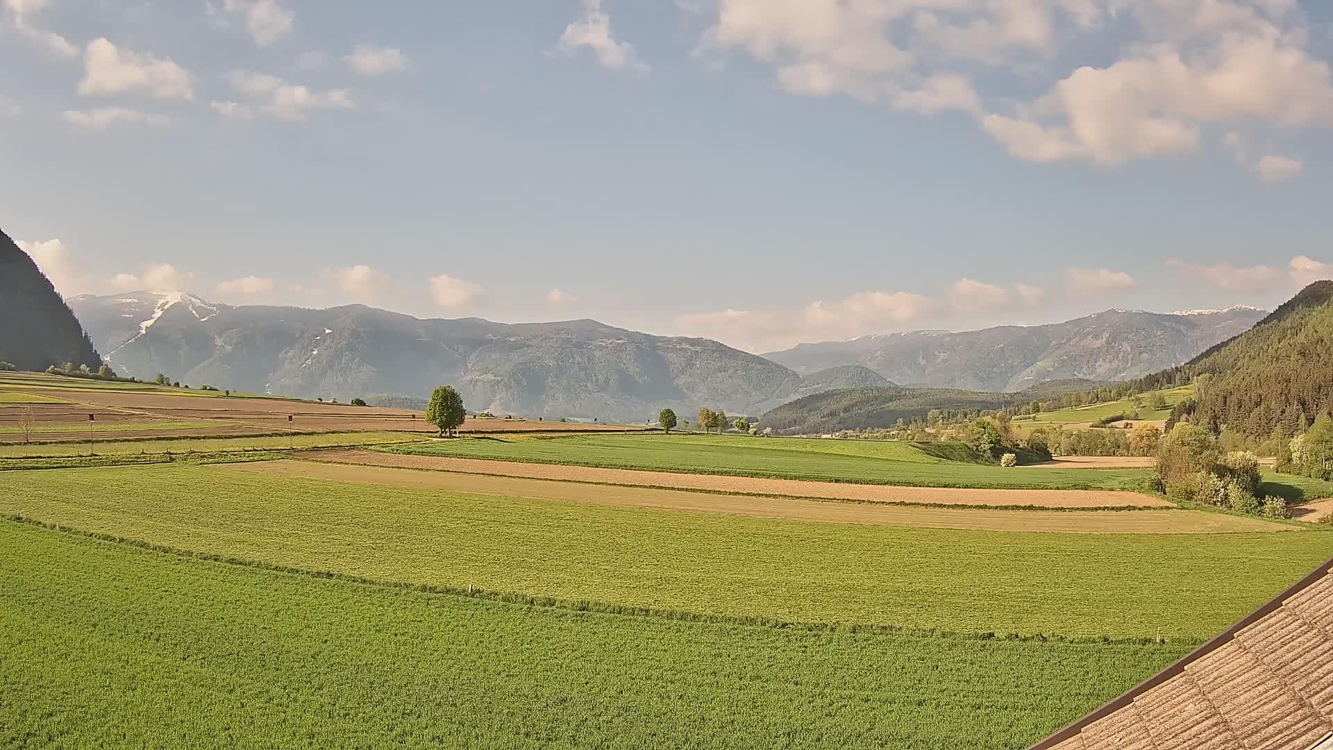 Gais | View from Vintage Farm Winklerhof to Kronplatz and Dolomites