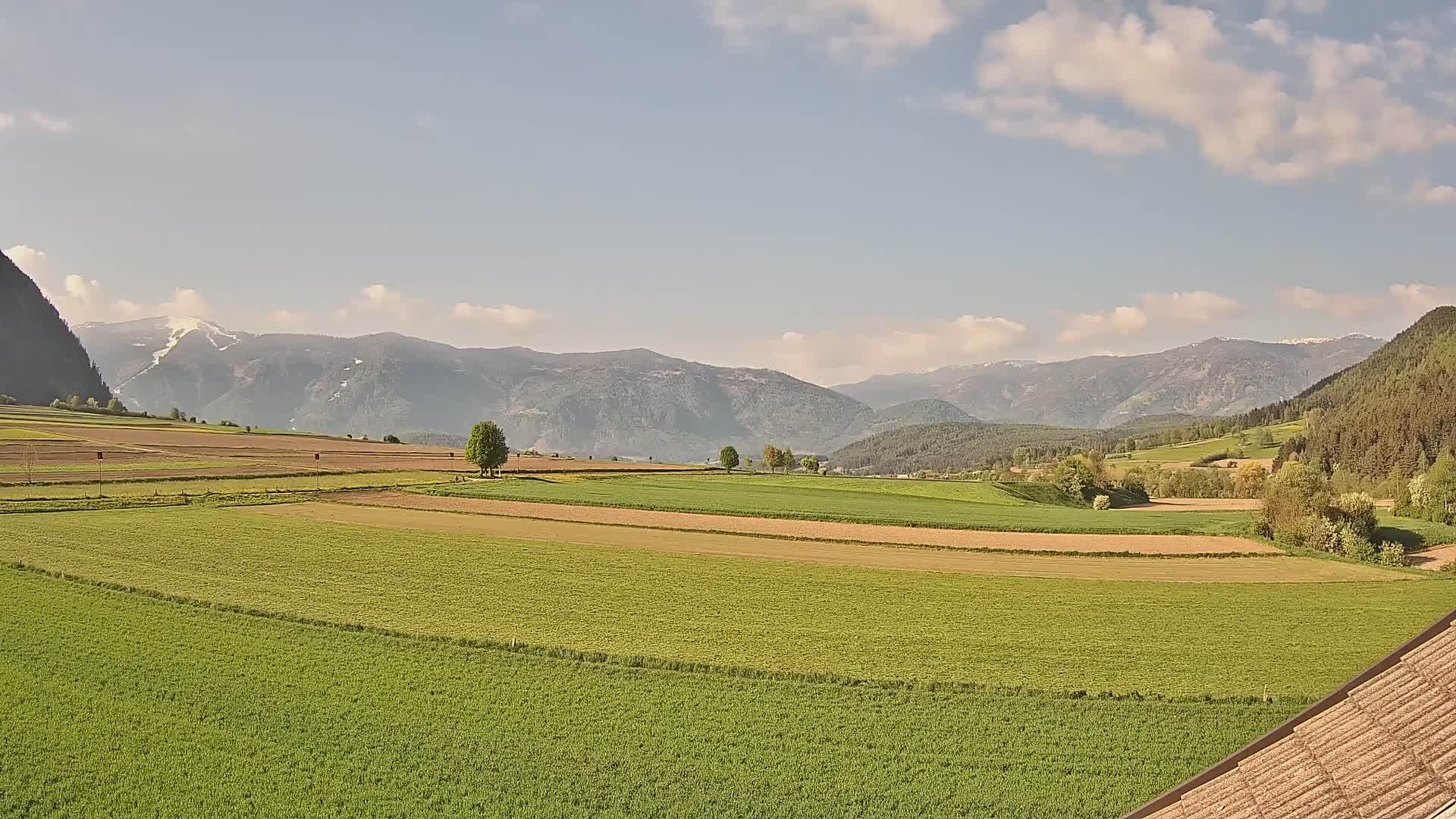 Gais | View from Vintage Farm Winklerhof to Kronplatz and Dolomites