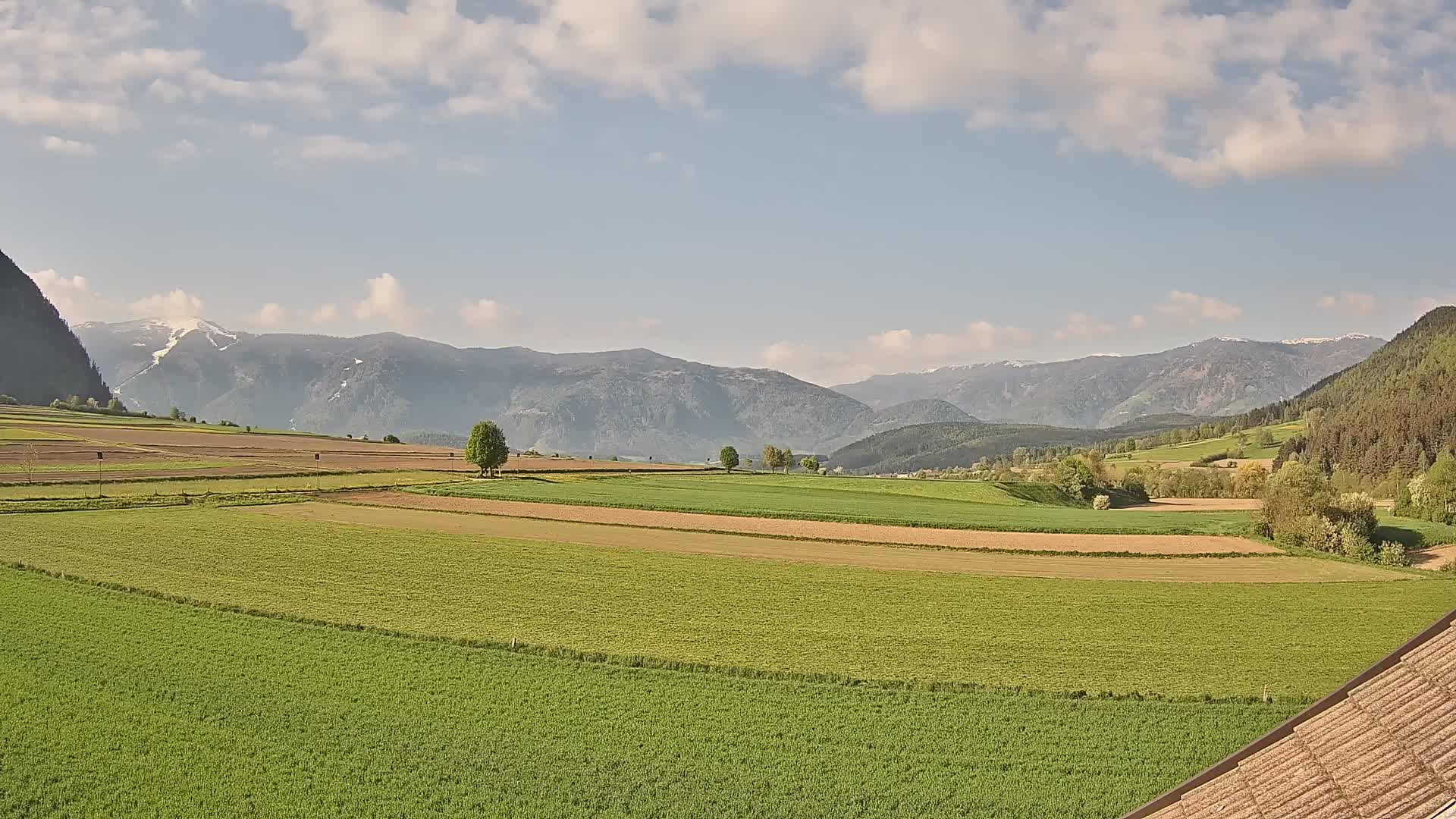 Gais | View from Vintage Farm Winklerhof to Kronplatz and Dolomites
