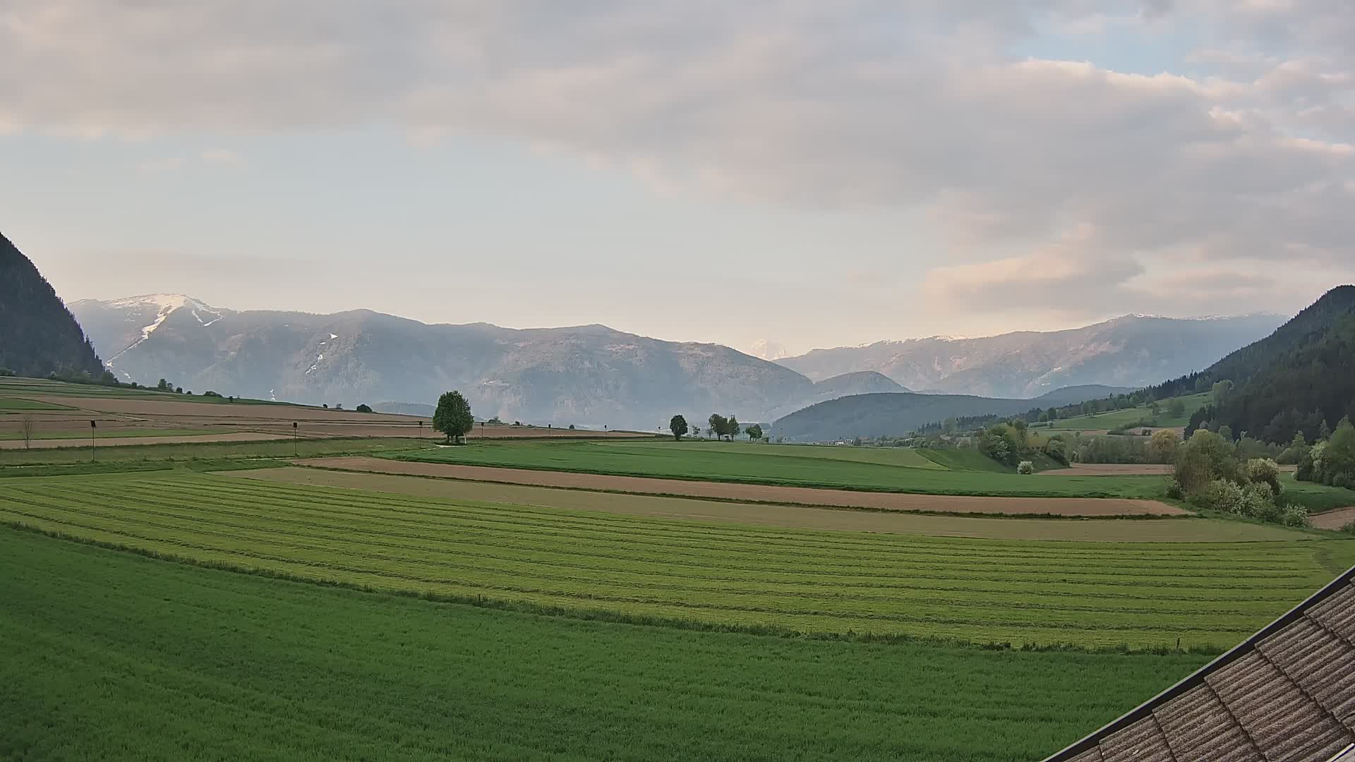 Gais | View from Vintage Farm Winklerhof to Kronplatz and Dolomites