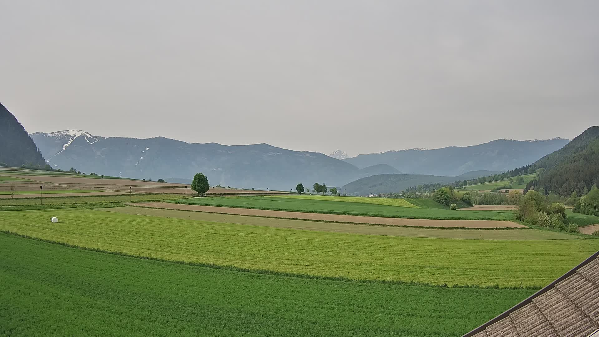 Gais | View from Vintage Farm Winklerhof to Kronplatz and Dolomites
