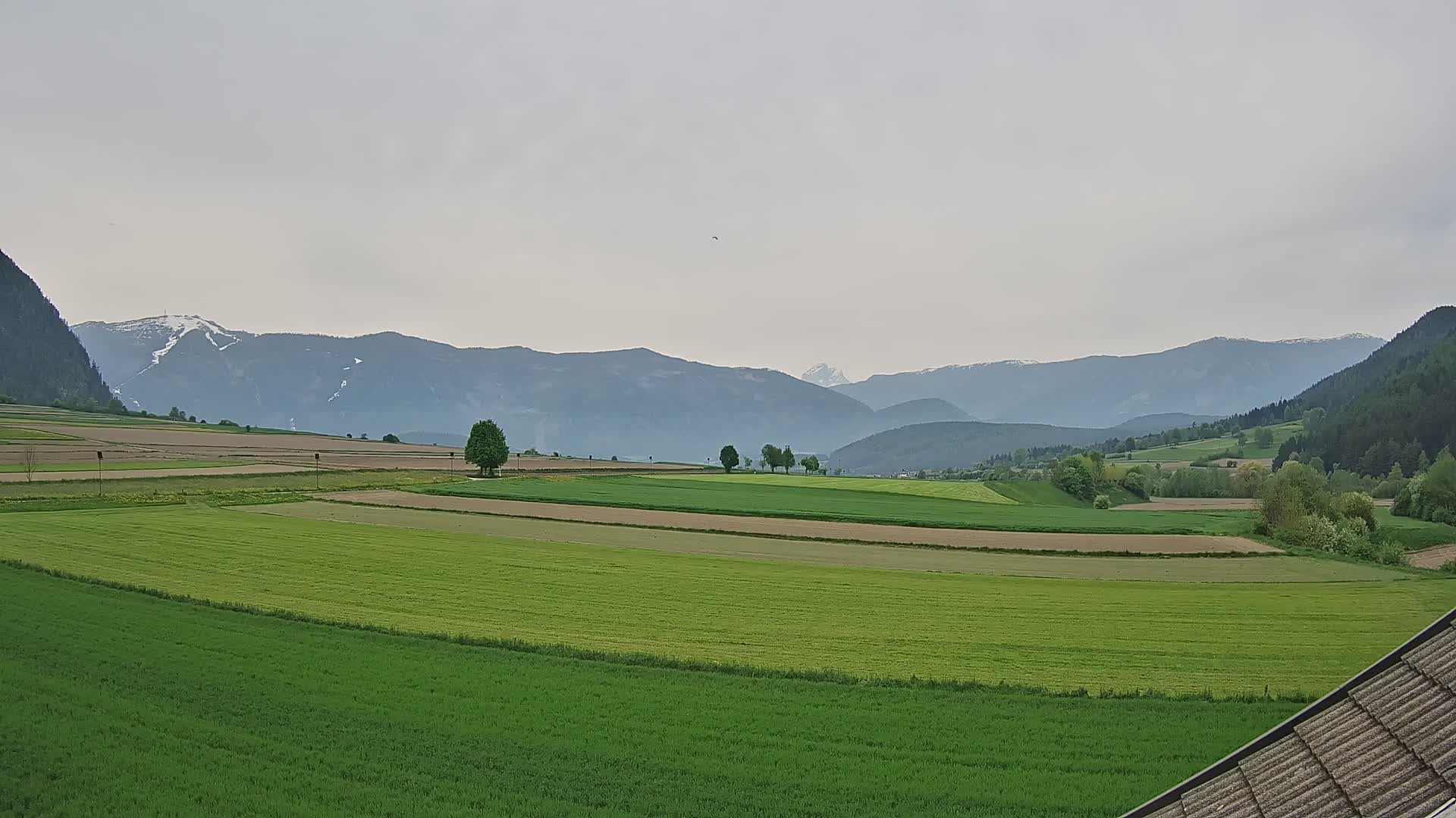 Gais | View from Vintage Farm Winklerhof to Kronplatz and Dolomites