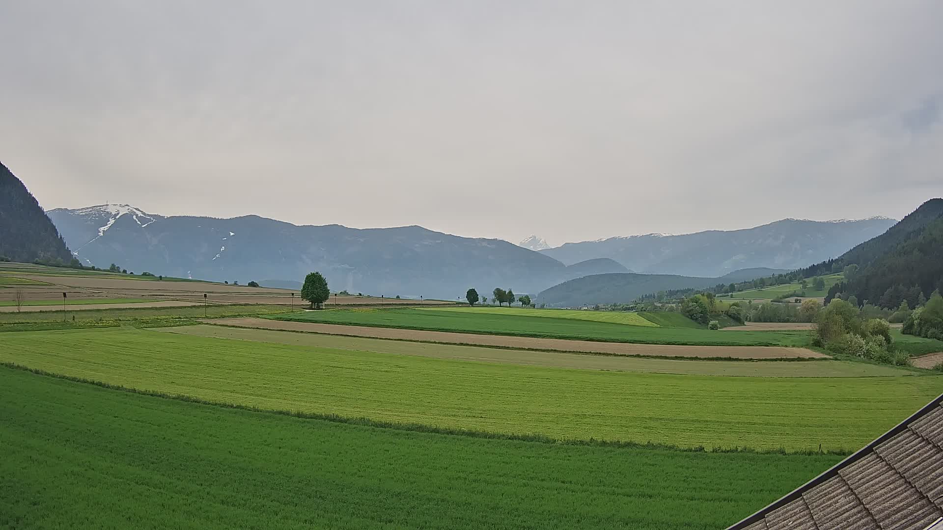 Gais | View from Vintage Farm Winklerhof to Kronplatz and Dolomites