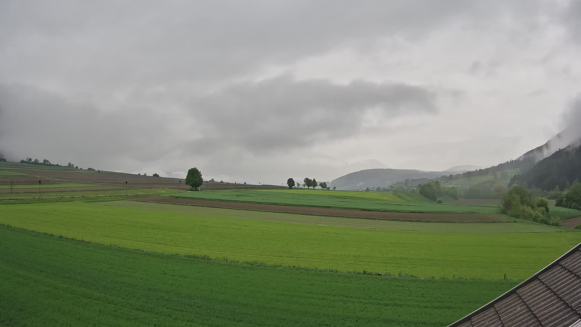 Gais | View from Vintage Farm Winklerhof to Kronplatz and Dolomites