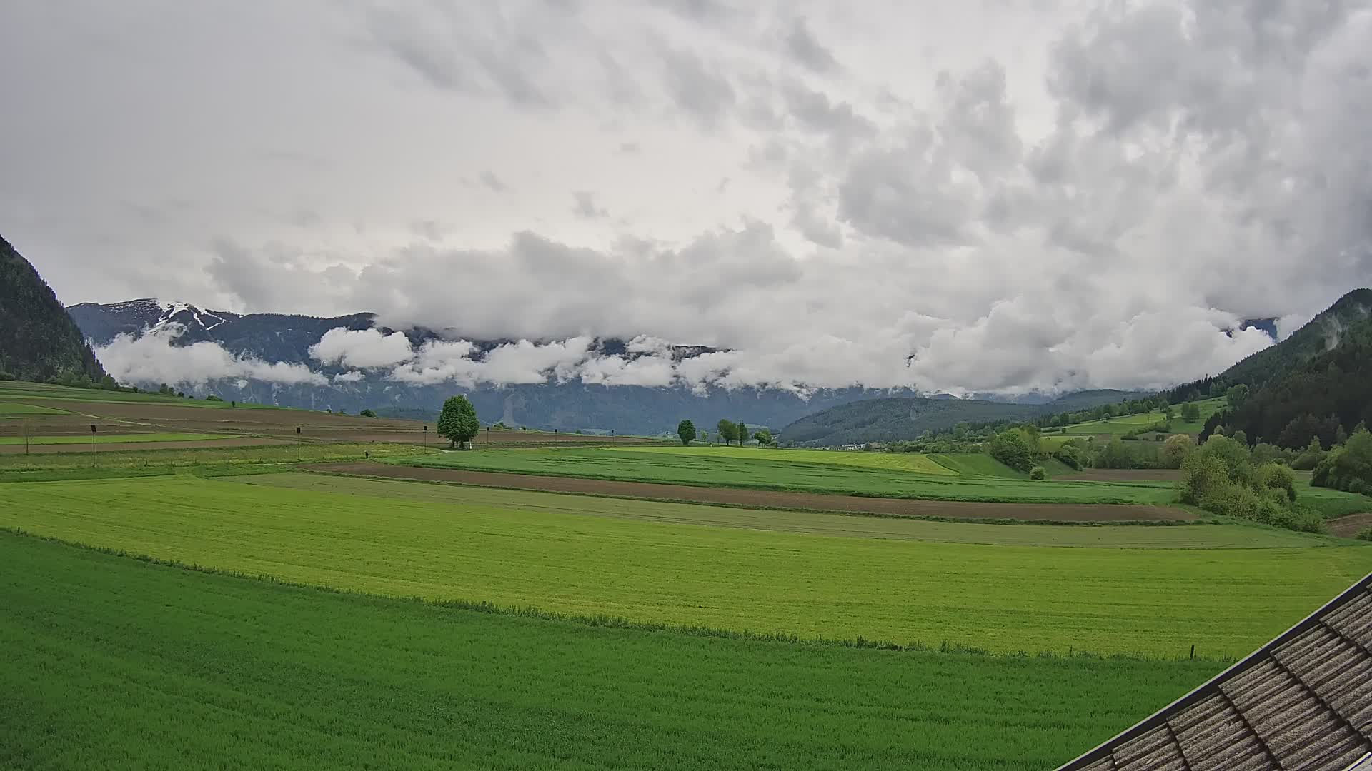 Gais | View from Vintage Farm Winklerhof to Kronplatz and Dolomites